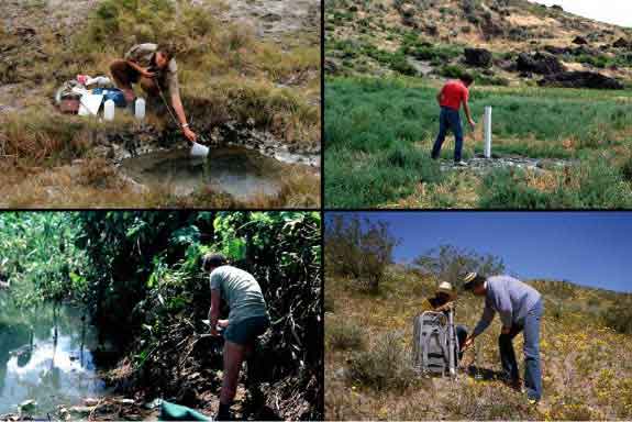 Geophysical Fieldwork