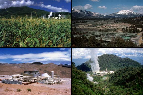 Crops, Desert, Forest