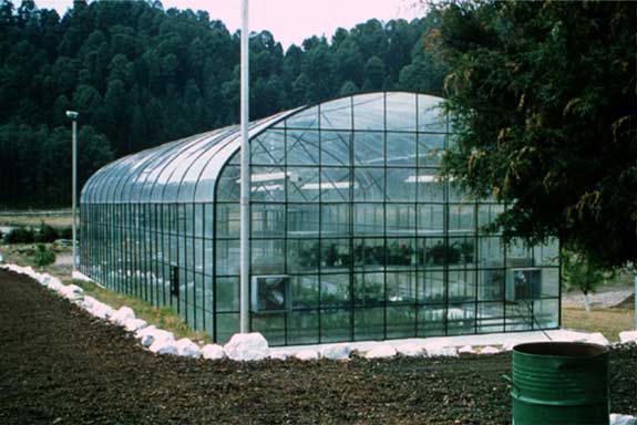 Greenhouse